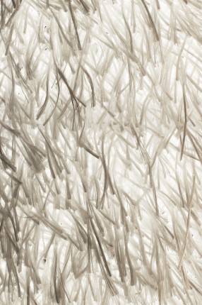 Experiments in plastic. Designer Elisabeth Johansson